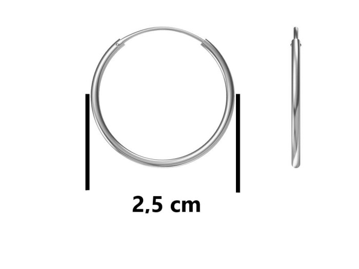 HOOP EARRINGS 2 x 25 silver plated szarnir (waga 2.2 g).jpg